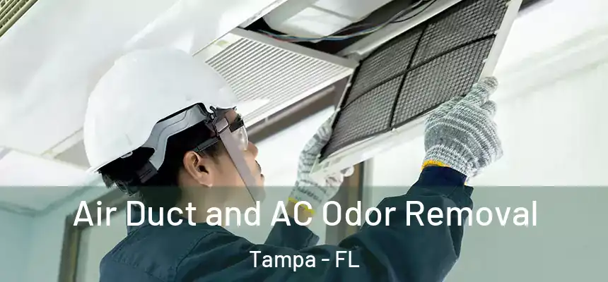  Air Duct and AC Odor Removal Tampa - FL