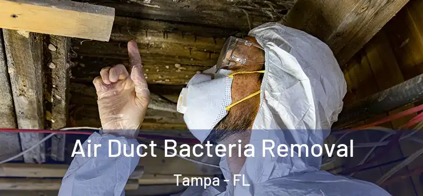  Air Duct Bacteria Removal Tampa - FL