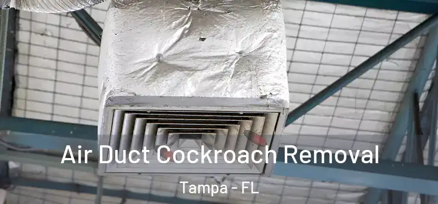  Air Duct Cockroach Removal Tampa - FL