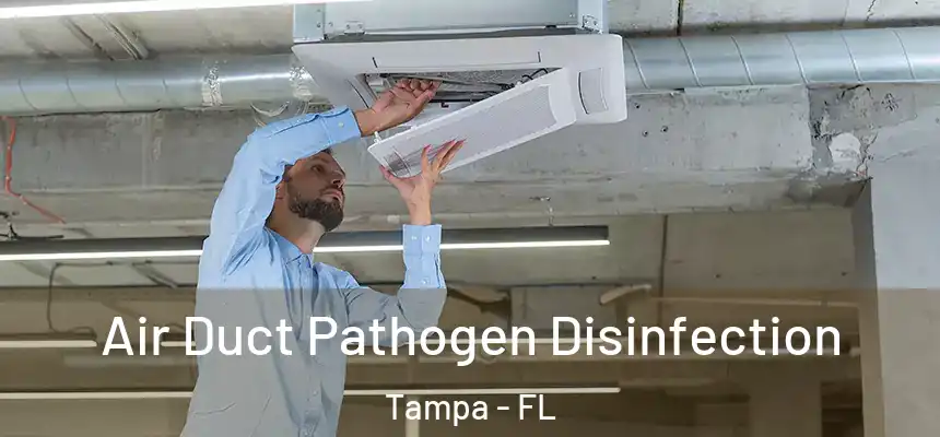 Air Duct Pathogen Disinfection Tampa - FL