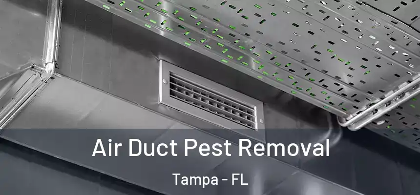Air Duct Pest Removal Tampa - FL