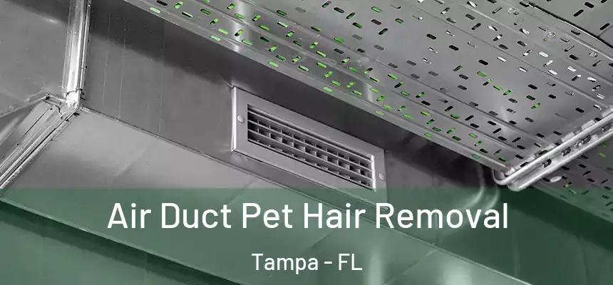 Air Duct Pet Hair Removal Tampa - FL