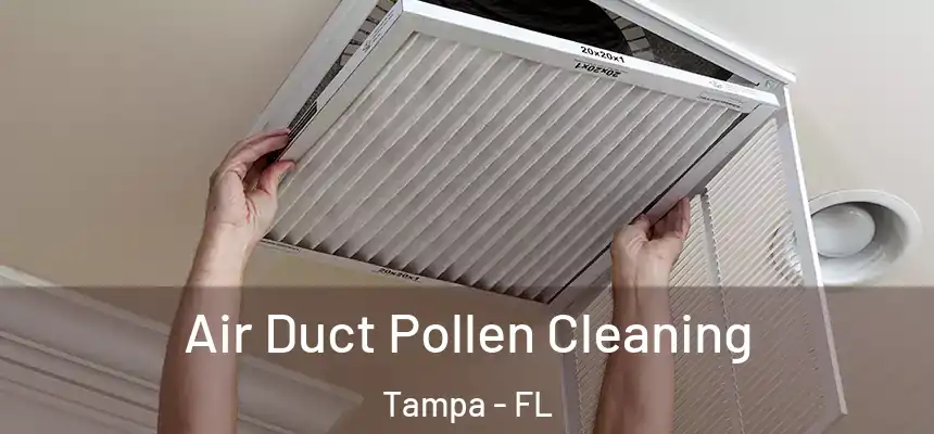  Air Duct Pollen Cleaning Tampa - FL