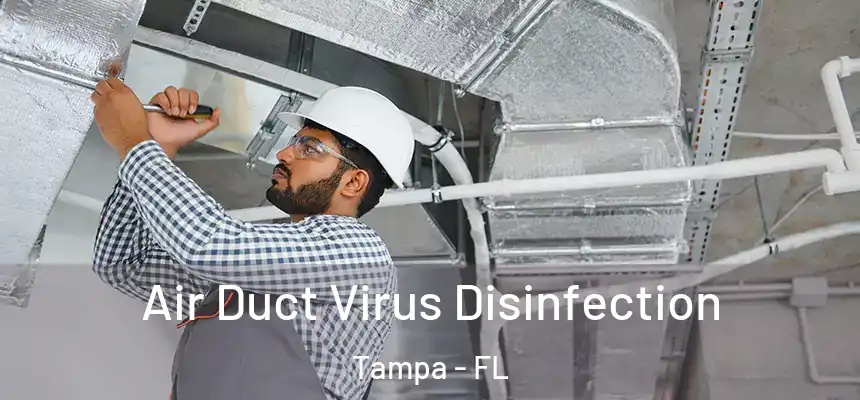 Air Duct Virus Disinfection Tampa - FL