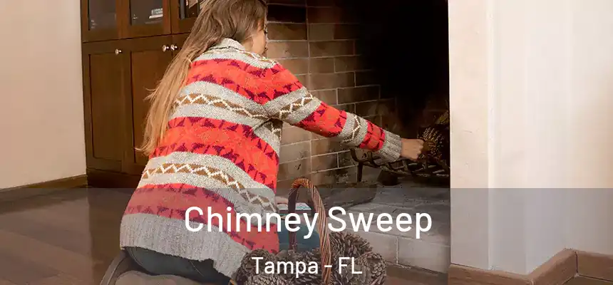 Chimney Sweep Tampa - FL