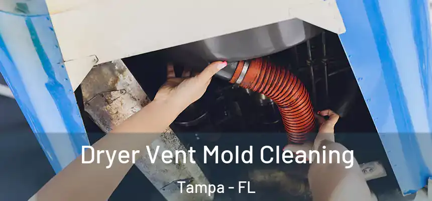  Dryer Vent Mold Cleaning Tampa - FL
