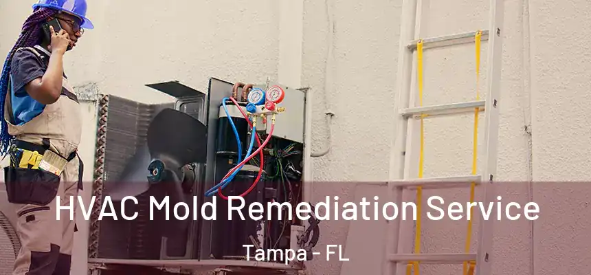  HVAC Mold Remediation Service Tampa - FL