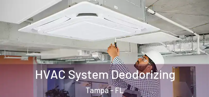  HVAC System Deodorizing Tampa - FL