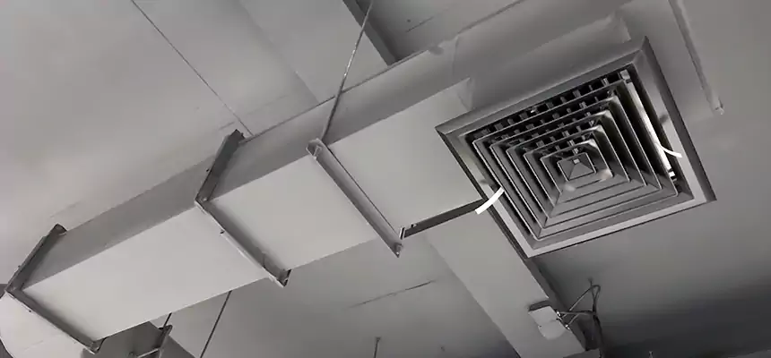 Our Pest Removal From Ducts Services in Tampa, FL