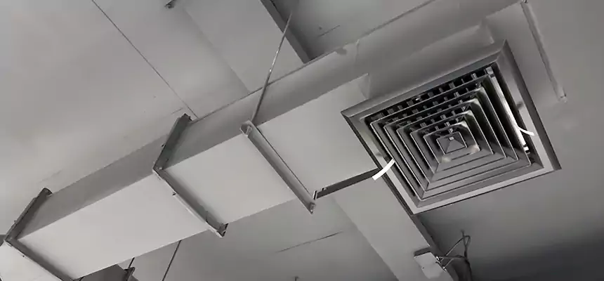 Our Rodent Droppings In Vents Services in Tampa, FL