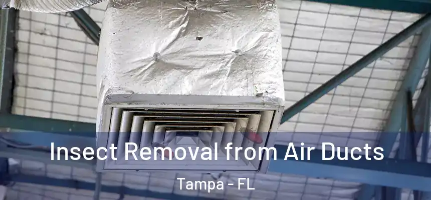  Insect Removal from Air Ducts Tampa - FL