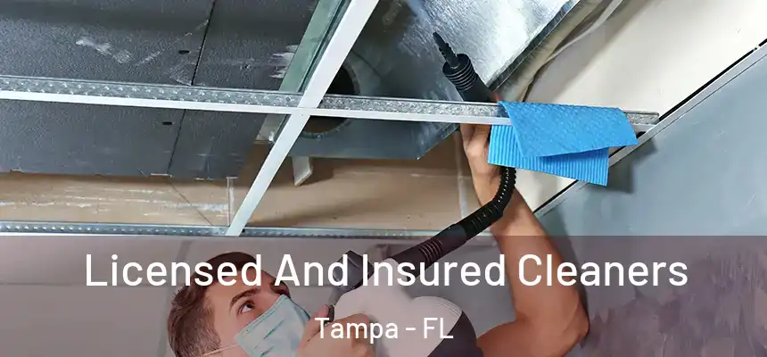Licensed And Insured Cleaners Tampa - FL