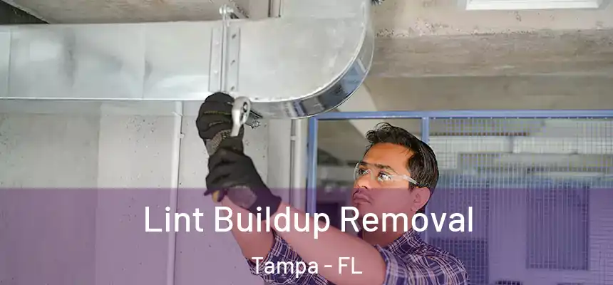  Lint Buildup Removal Tampa - FL