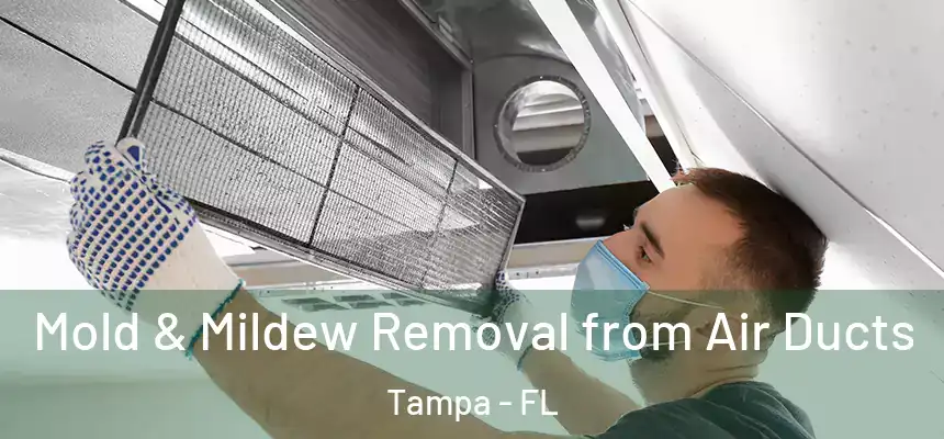 Mold & Mildew Removal from Air Ducts Tampa - FL