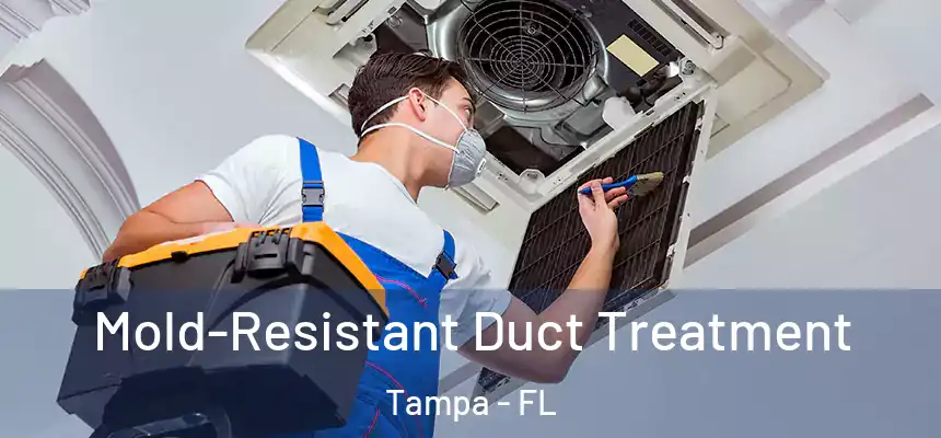 Mold-Resistant Duct Treatment Tampa - FL