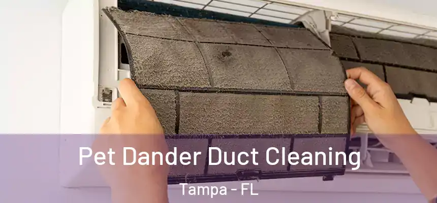 Pet Dander Duct Cleaning Tampa - FL