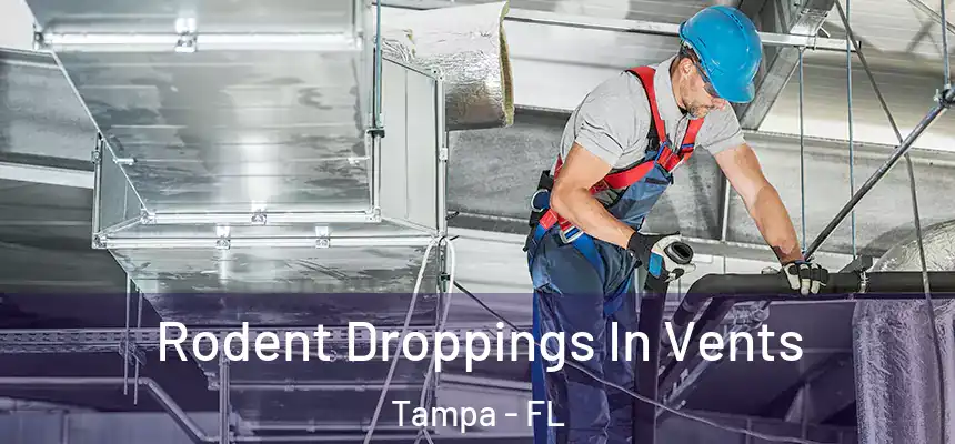 Rodent Droppings In Vents Tampa - FL