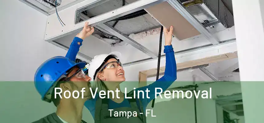 Roof Vent Lint Removal Tampa - FL