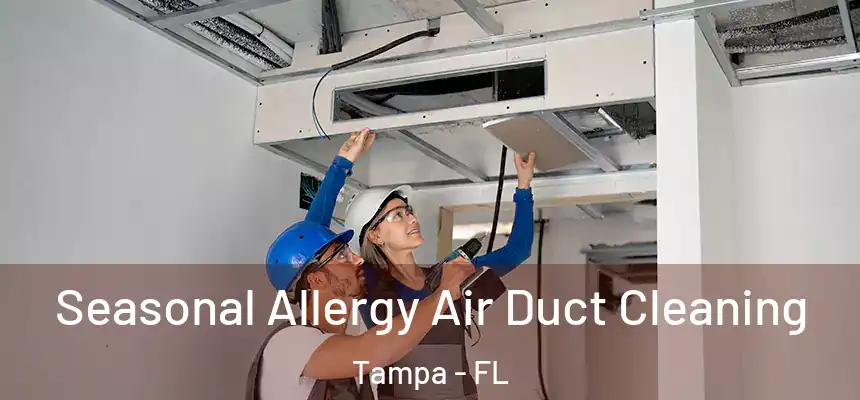 Seasonal Allergy Air Duct Cleaning Tampa - FL