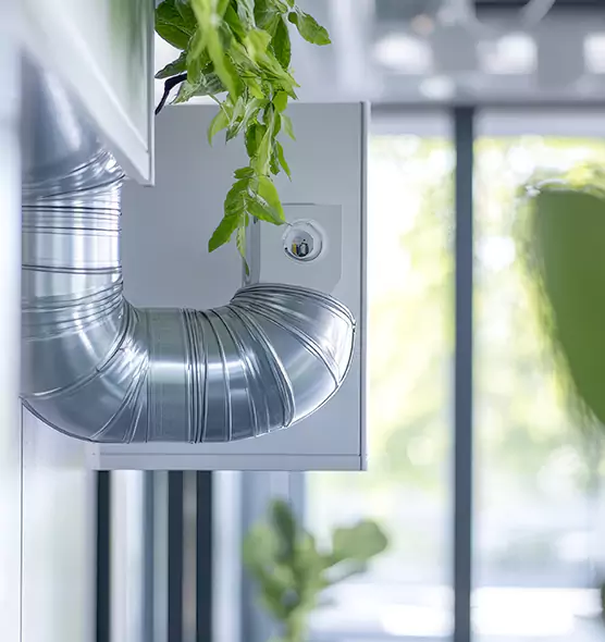 Professional Eco-Friendly Duct Cleaning Services in Tampa, FL