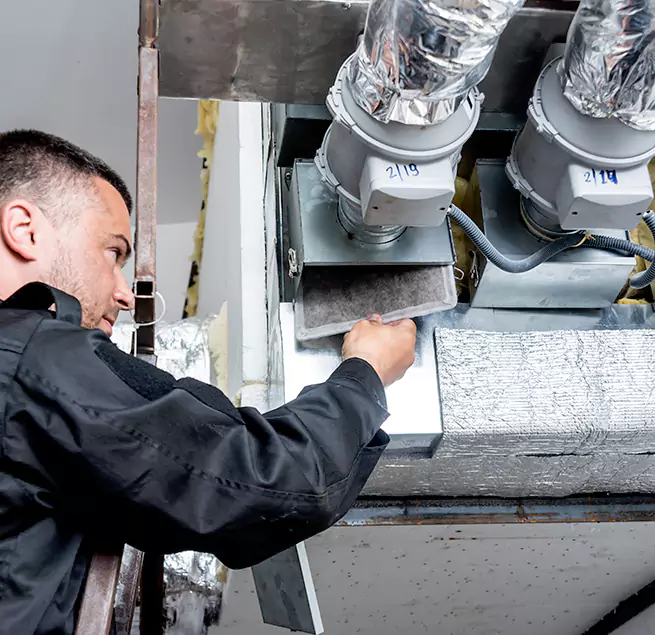 Why Homeowners & Businesses Trust Us in Tampa, FL?