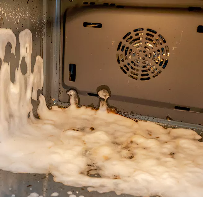 Why Homeowners Businesses Trust Us in Tampa, FL?