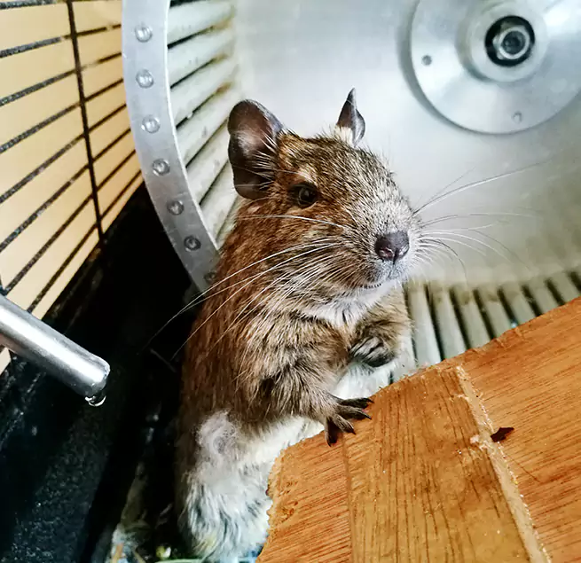 Why Homeowners & Businesses Trust Us Tampa, FL