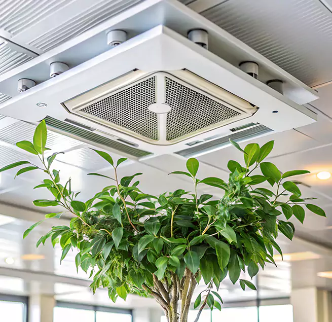 Why Homeowners & Businesses Trust Us in Tampa, FL?