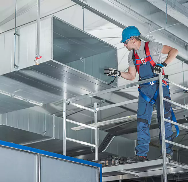 Why Homeowners Businesses Trust Us in Tampa, FL