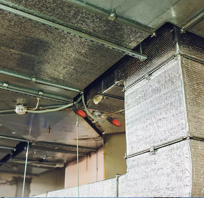 Why Homeowners & Businesses Trust Us Tampa, FL?