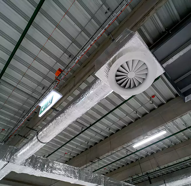 Why Homeowners & Businesses Trust Us in Tampa, FL?