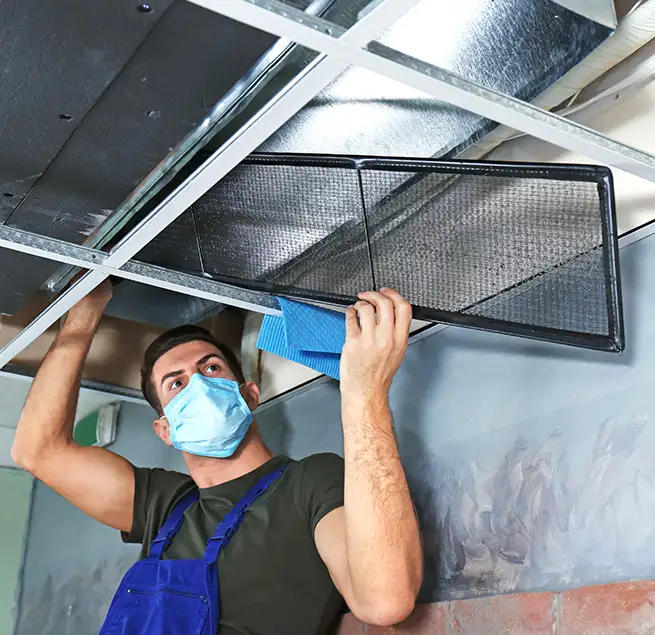 Why Homeowners & Businesses Trust Us in Tampa, FL?