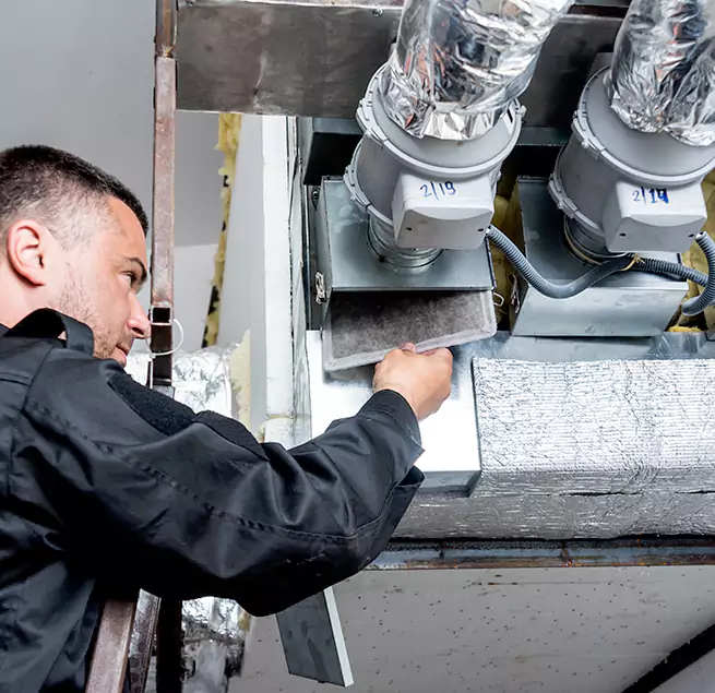 Why Homeowners Businesses Trust Us in Tampa, FL?