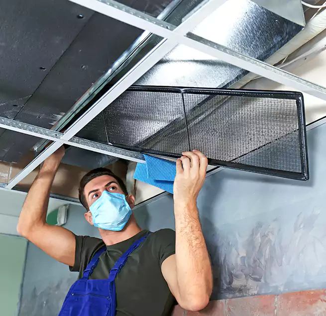 Why Homeowners Businesses Trust Us in Tampa, FL