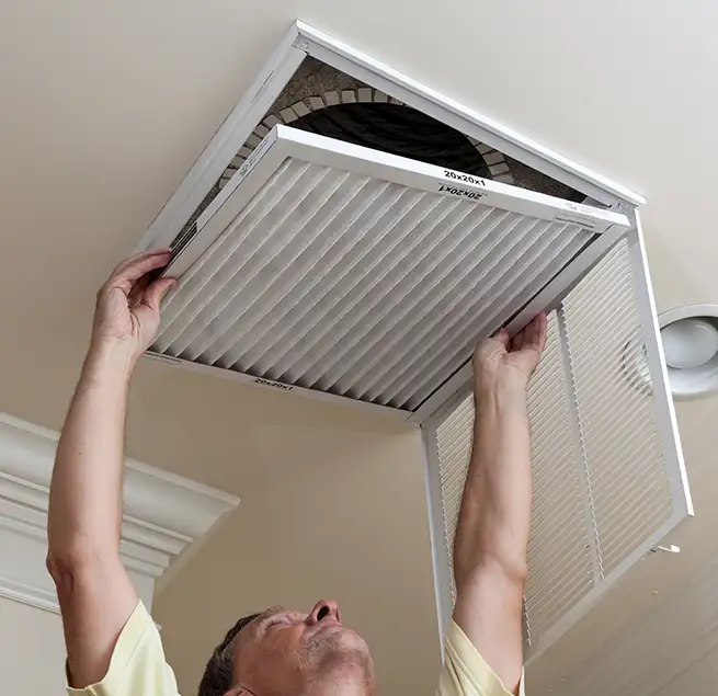 Why Homeowners & Businesses Trust Us in Tampa, FL?